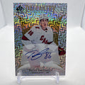 Teuvo Teravainen 2021-22 SP Authentic Pageantry Autograph #P-45 Auto Hurricanes